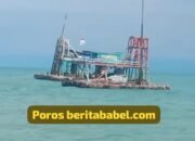 Apakah PT. Timah melanggar hukum jika hanya mendapatkan satu mitra yang bekerja di Pertambangan Timah Laut